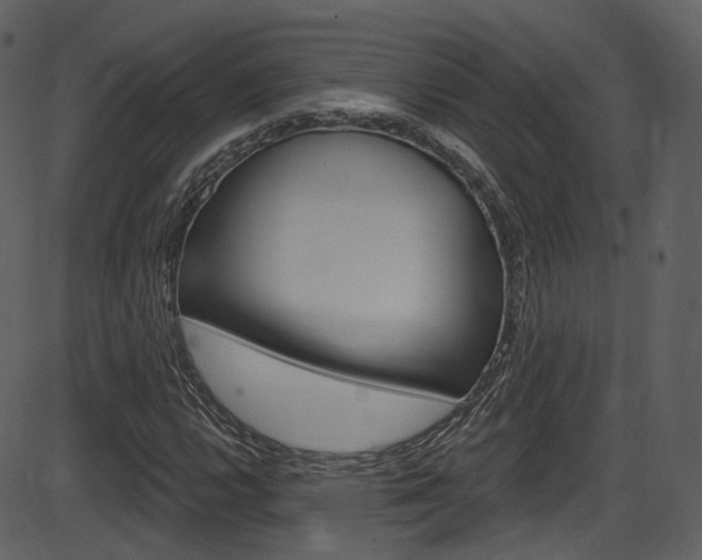 X0000086221112200703290956