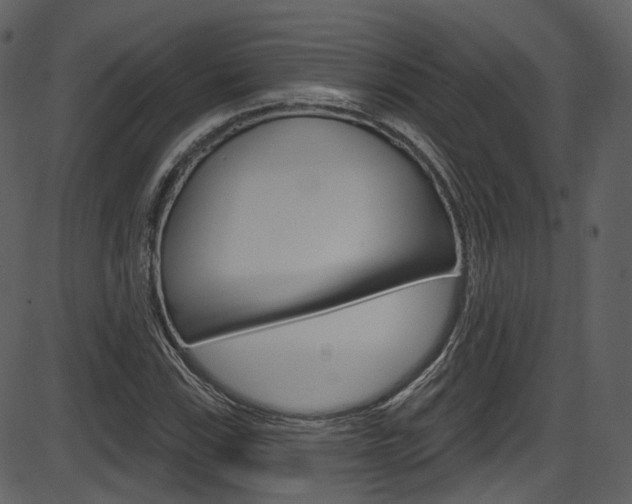 X0000086221115200703290956