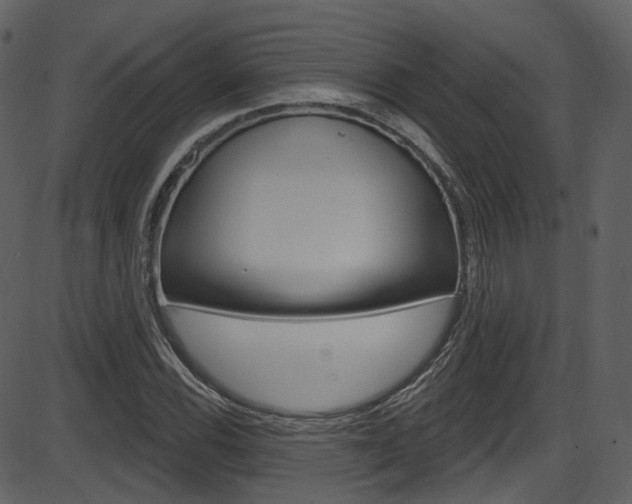 X0000086221116200703290956