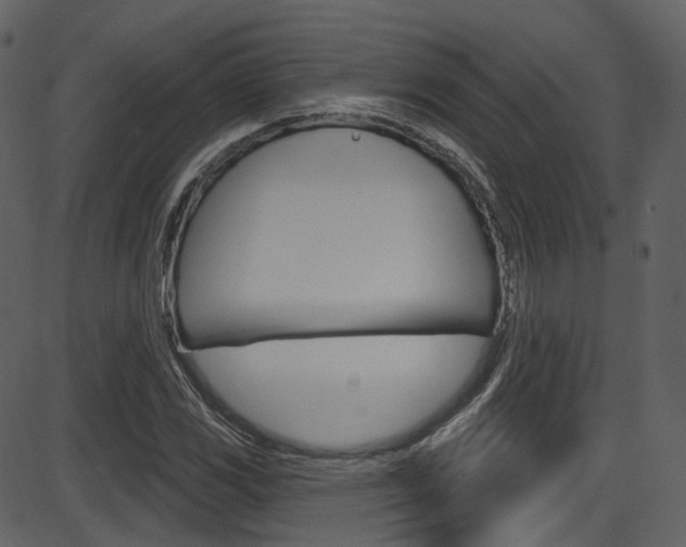 X0000086221117200703290957