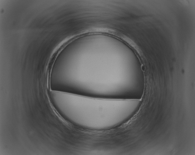 X0000086221127200703290957