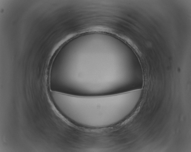 X0000086221134200703290957