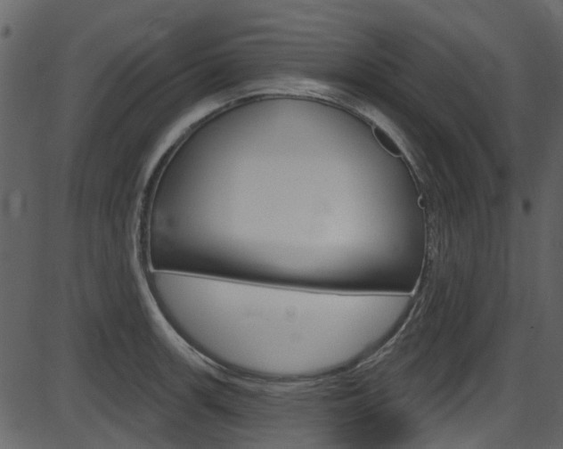 X0000086221139200703290957