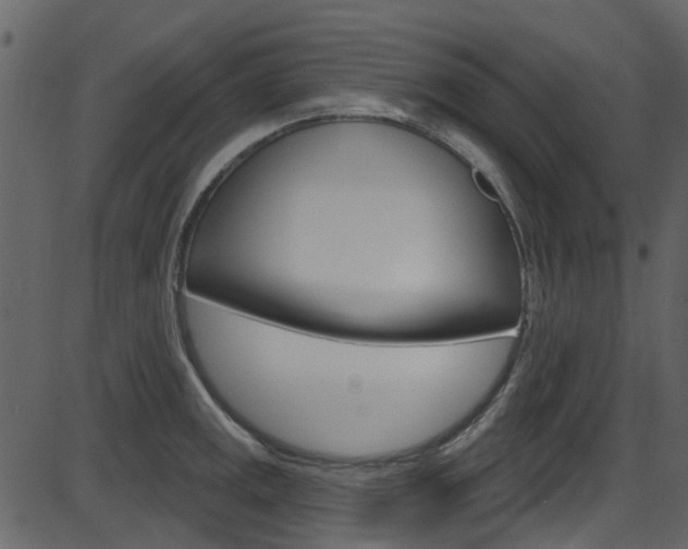 X0000086221141200703290957
