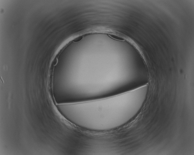 X0000086221147200703290957