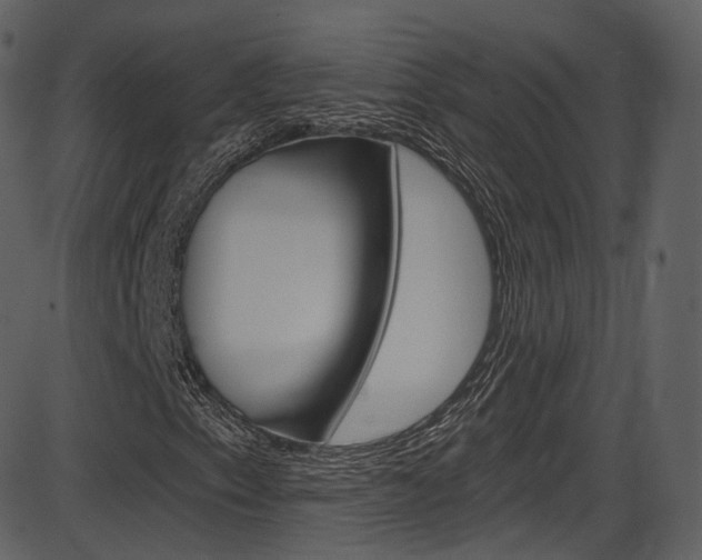 X0000086221153200703290956