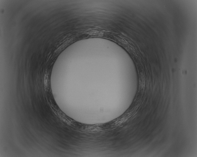 X0000086221154200703290956