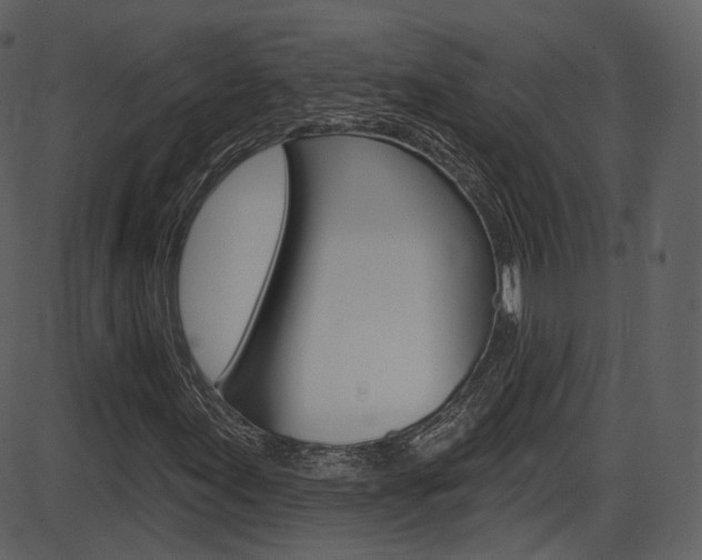 X0000086221155200703290956