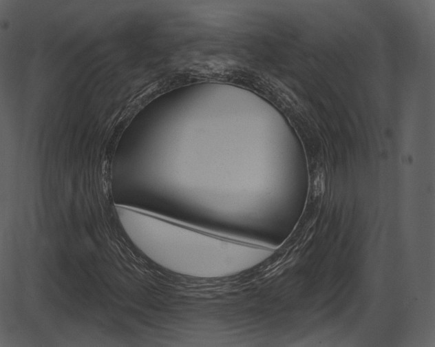 X0000086221156200703290956