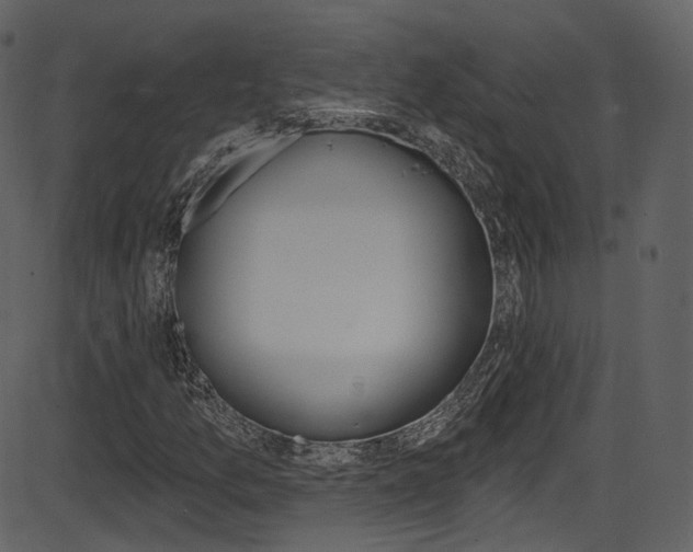 X0000086221157200703290956