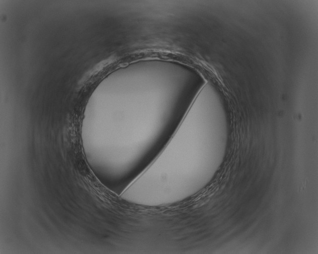 X0000086221159200703290956