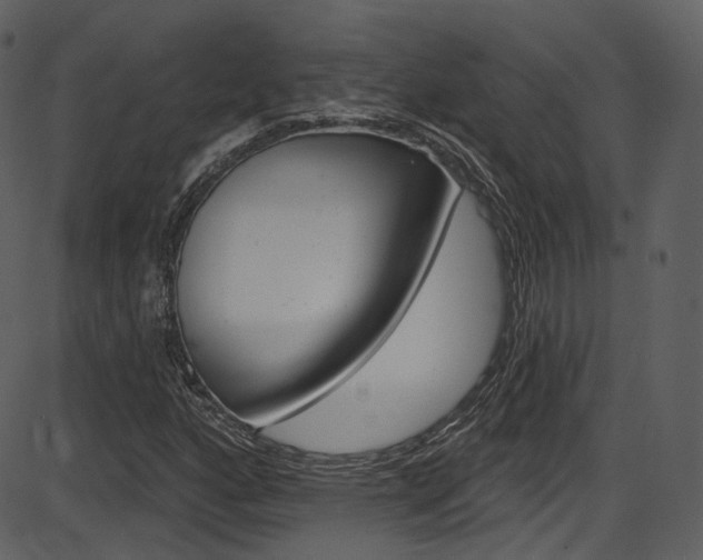 X0000086221160200703290956