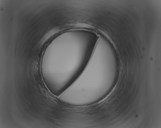 X0000086221163200703290956