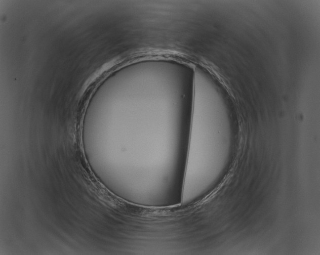 X0000086221165200703290956
