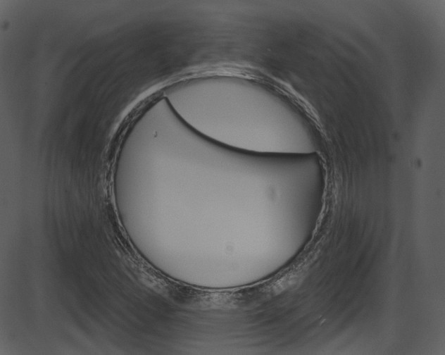 X0000086221166200703290956