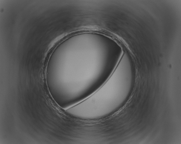 X0000086221168200703290956