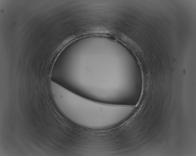 X0000086221169200703290956