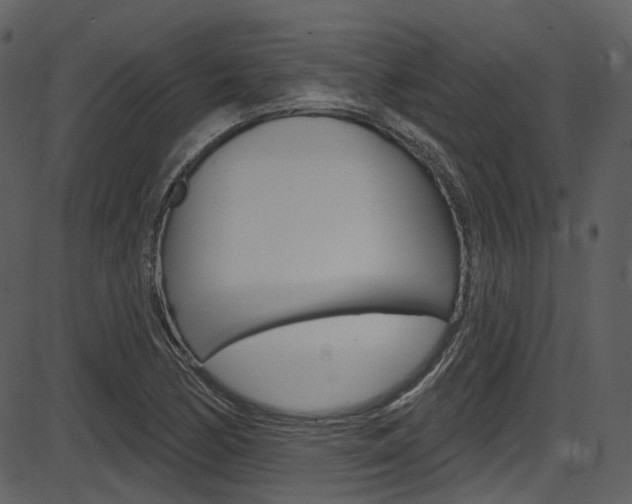X0000086221170200703290956