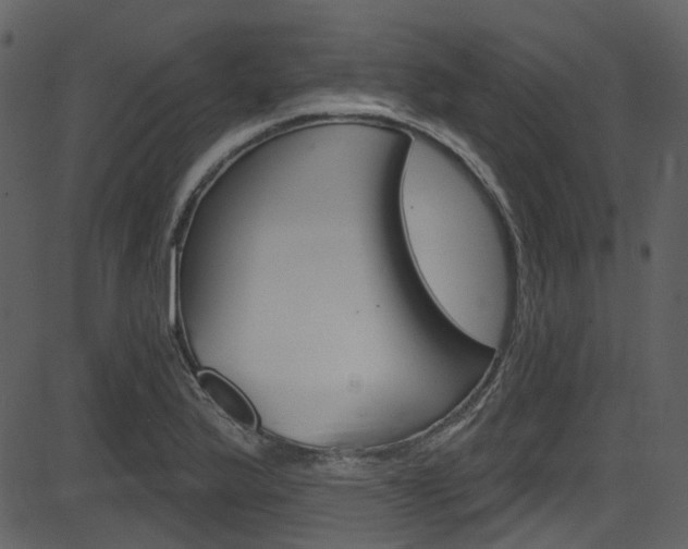 X0000086221175200703290956