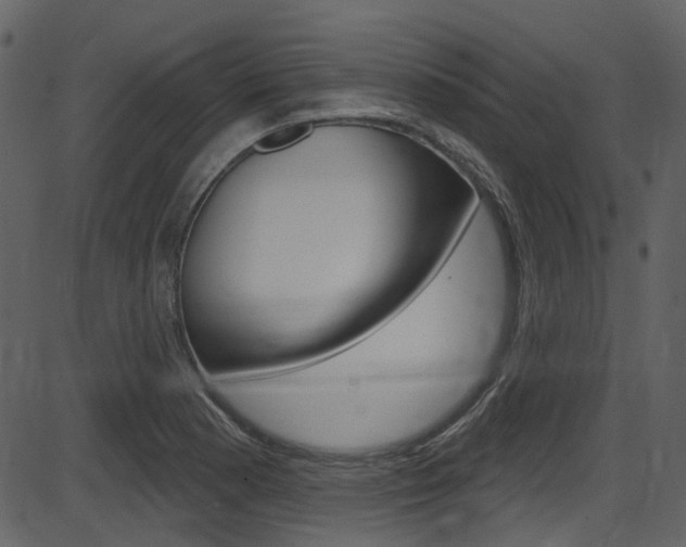 X0000086221177200703290956