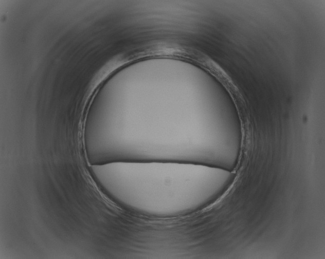 X0000086221178200703290956