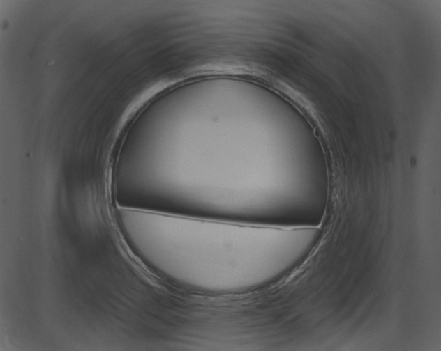 X0000086221179200703290956