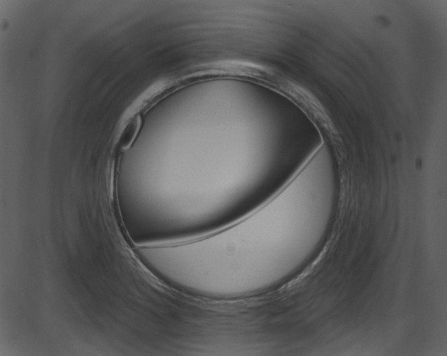 X0000086221180200703290956