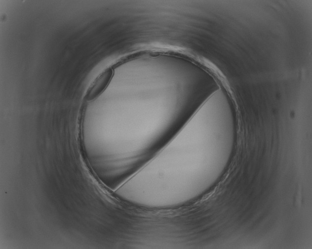 X0000086221183200703290956