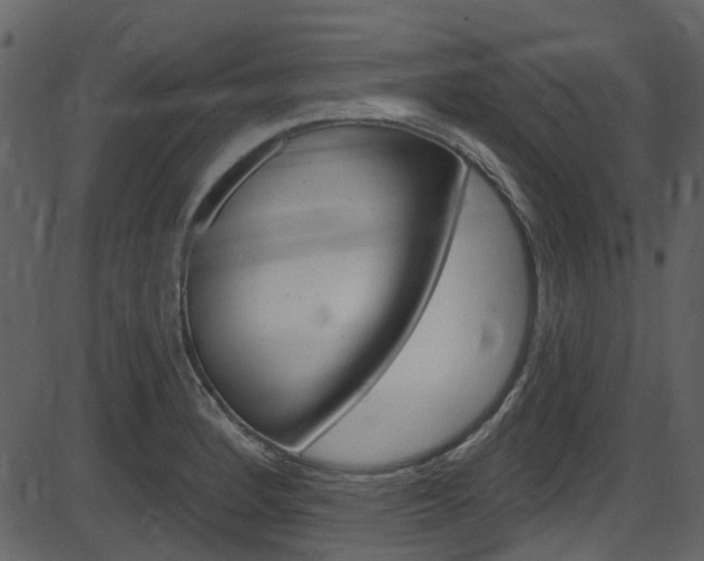 X0000086221184200703290956