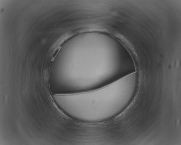 X0000086221185200703290956