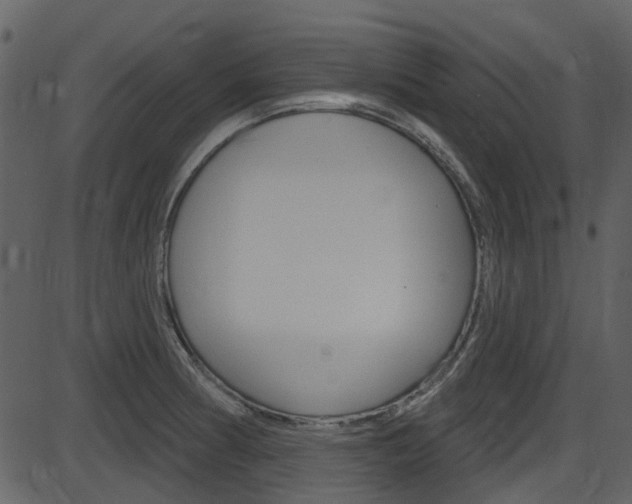 X0000086221186200703290956