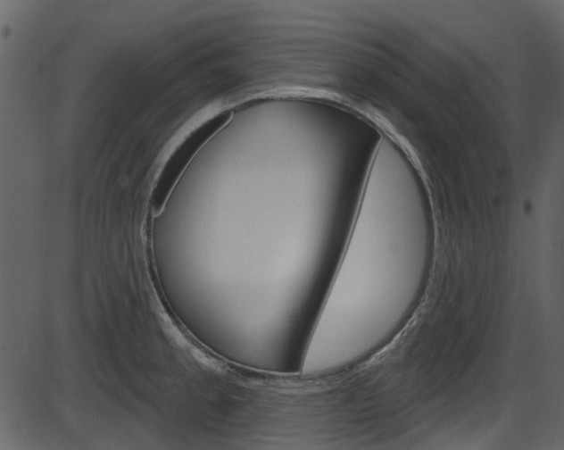 X0000086221189200703290956