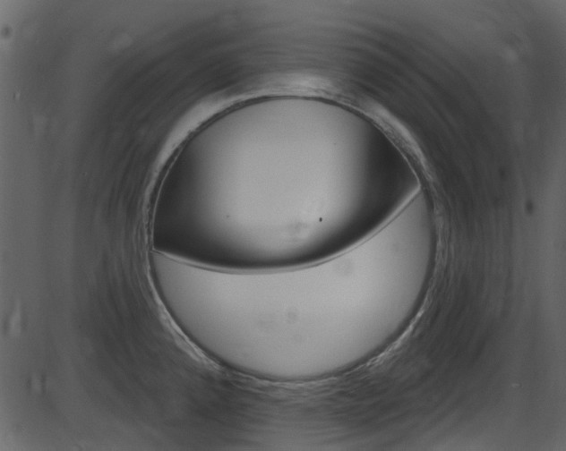 X0000086221192200703290956