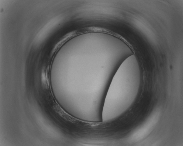 X0000086221198200703290956