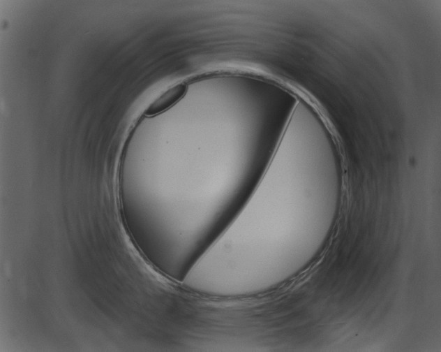 X0000086221199200703290956