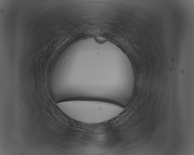 X0000086221201200703290955