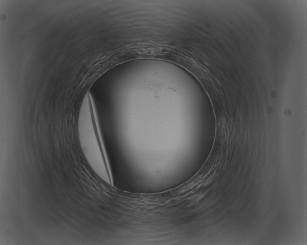 X0000086221202200703290955