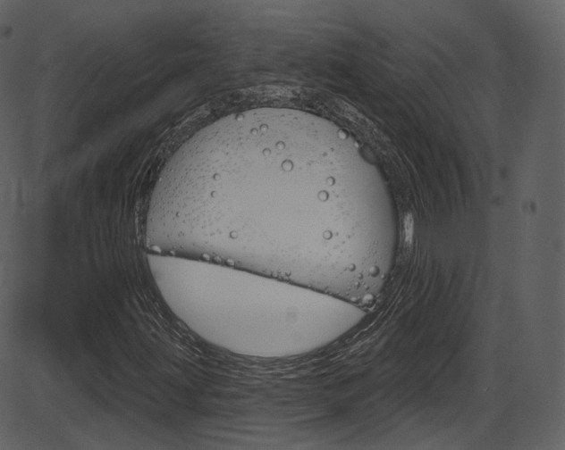 X0000086221203200703290955