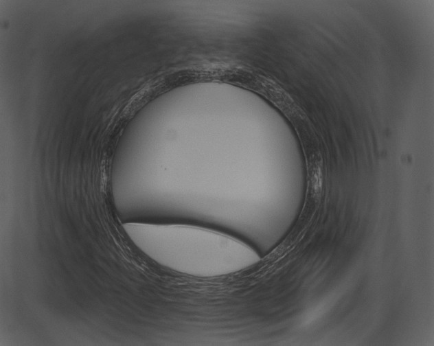 X0000086221204200703290955