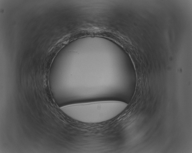 X0000086221205200703290955