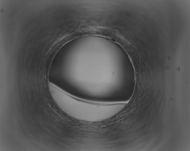 X0000086221206200703290955