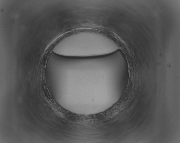 X0000086221208200703290955