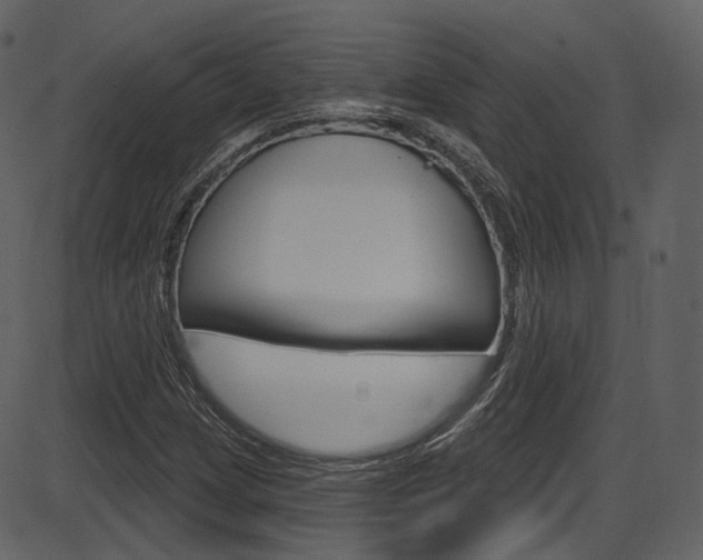X0000086221209200703290955