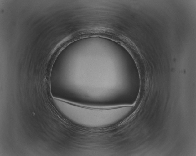 X0000086221210200703290955