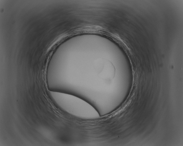 X0000086221211200703290955
