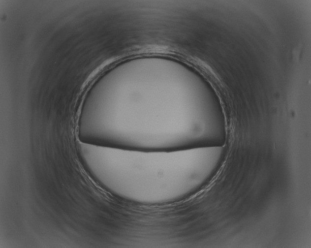 X0000086221212200703290955