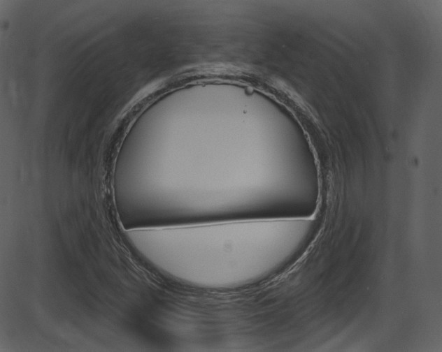 X0000086221213200703290955