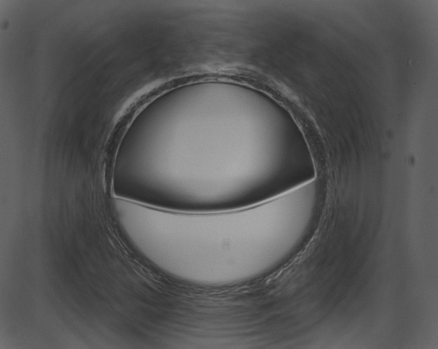X0000086221214200703290955