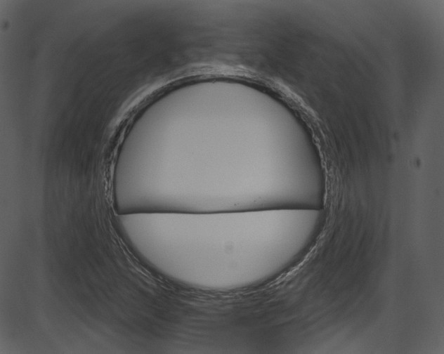 X0000086221215200703290955