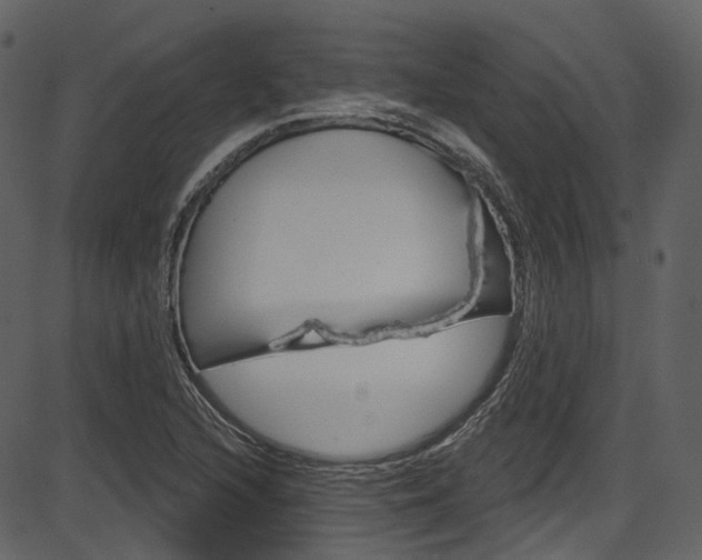 X0000086221216200703290955
